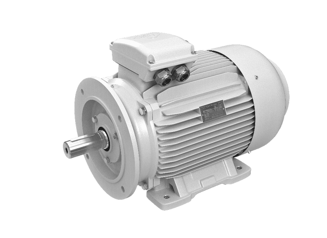 SIEMENS 1LE1001-0CA22-2FA4