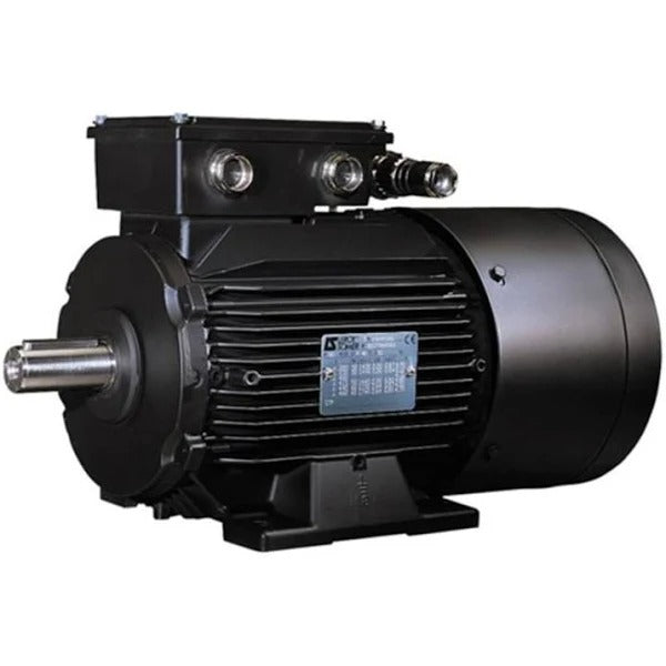 LEROY SOMER LSMV90L