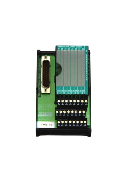 FOXBORO P0917XV