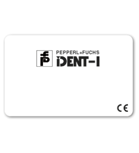 PEPPERL+FUCHS 70113489-IPC02-C110PCS