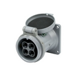 APPLETON ADR6034