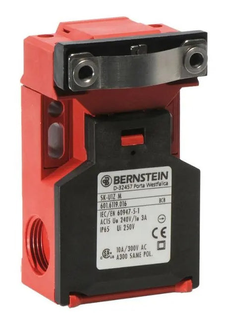 BERNSTEIN 601.6119.016-SK-U1ZM