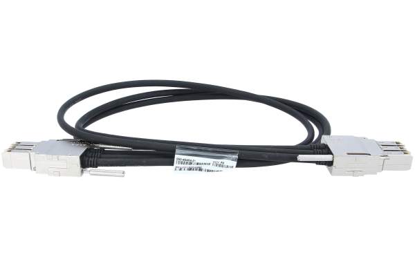 CISCO StackWise480