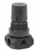 PARKER R25-02BK-Watts