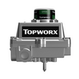 TOPWORX DXS-L21GNEB