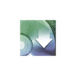 PHOENIX CONTACT 2700184-License-FLMGUARDLICLIFETIMEFW