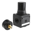 AVENTICS 0821302500-NL4-RGS-G012-GAU-MAN-100-SS