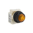 SCHNEIDER ELECTRIC 9001SKT35LYY31