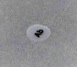 SIEMENS 3SB1901-4AE