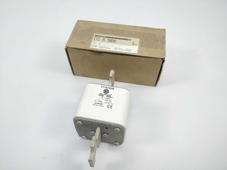 Bussmann 171A7028