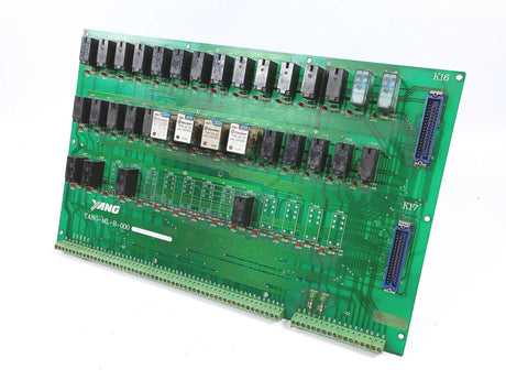 YANG YANGMLR000