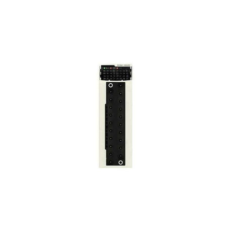 SCHNEIDER ELECTRIC BMXDDM16025H