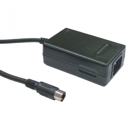MEAN WELL GP25A13D-R1B