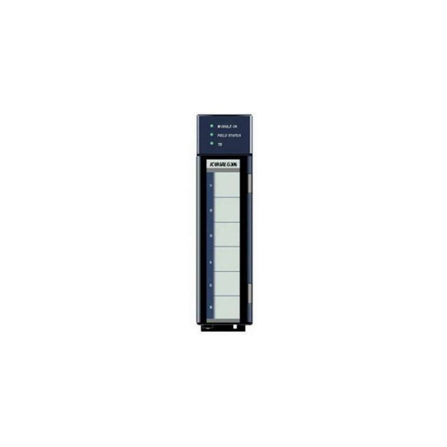 FANUC IC695ALG306GE