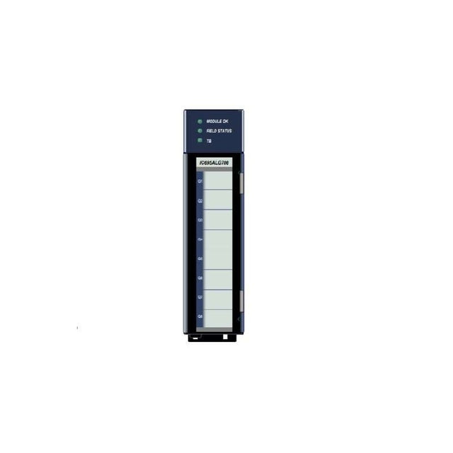 FANUC IC695ALG704Ge
