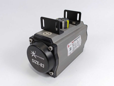 MARS VALVE SR83