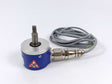 BAUMER G1330060C313