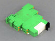 PHOENIX CONTACT PLC-RPT-24DC21-21