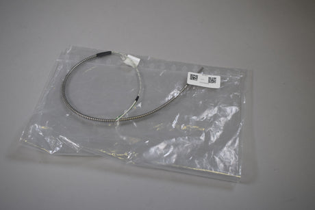 JSP T1561