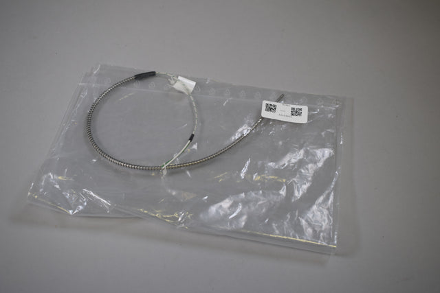 JSP T1561