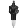 AVENTICS 0821300864-NL6-FRE-G100-GAU-SSS-AO-8,00